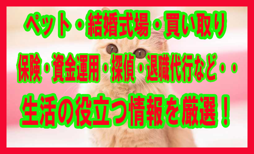 おすすめ２