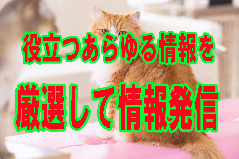 おすすめ２